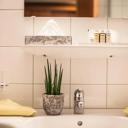 Hotel Kristall 3*